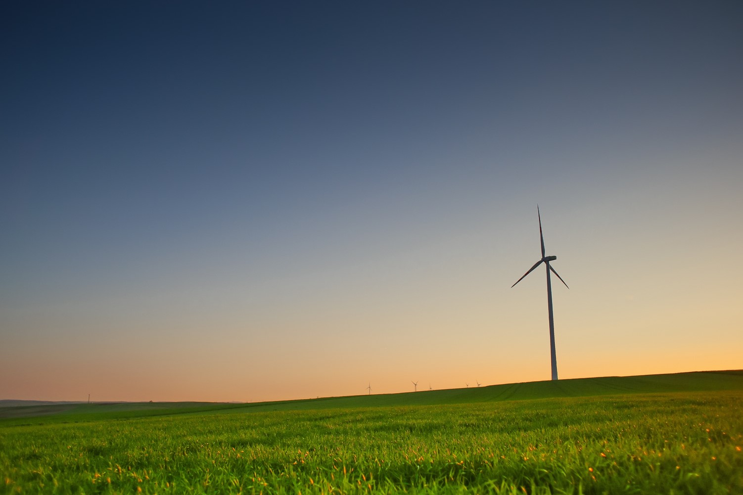 widok na zieloną łąkę o zachodzie słońca, na dalszym planie widać monumentalną turbinę wiatrową w białym kolorze, w oddali zaś kolejne turbiny, które są ledwo widoczne ze względu na odległość