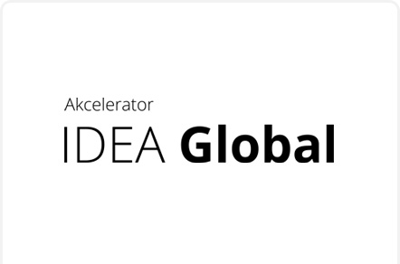 Program Akceleracyjny: IDEA Global
